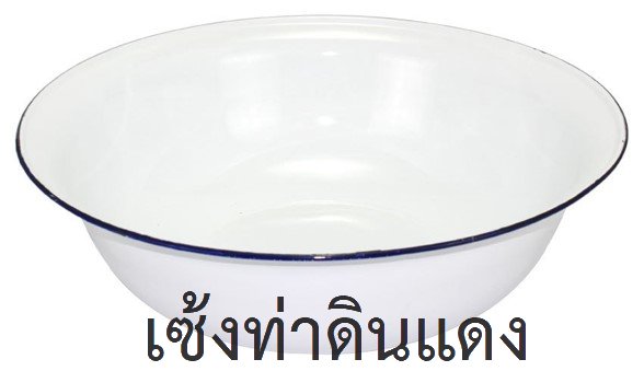 262050040