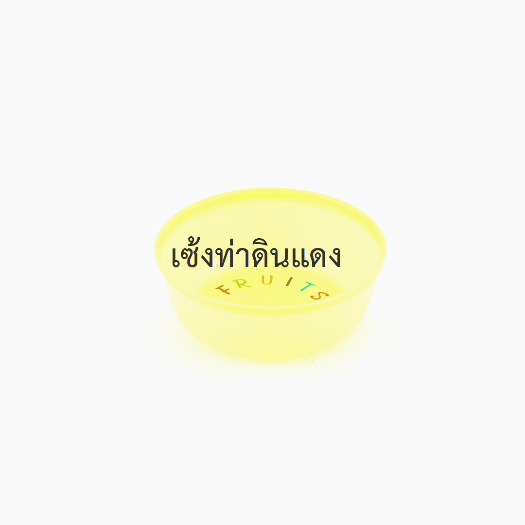 419100022