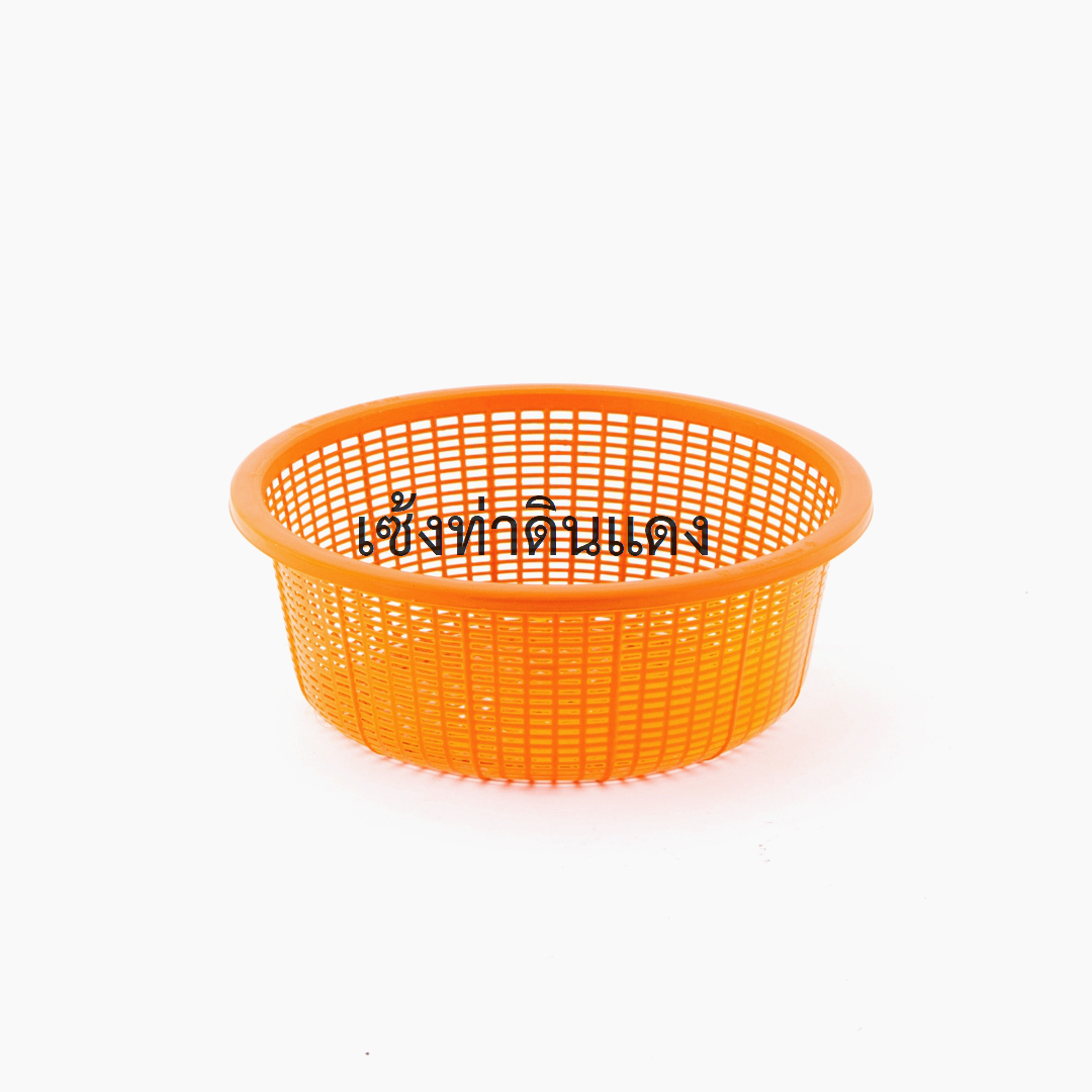 445520026